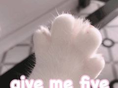 -金百万烤鸭店(马甸店)