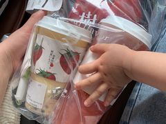 -树夏(鹭洲里店)
