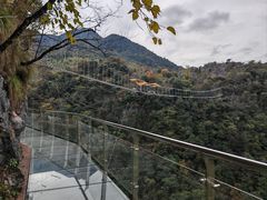-千岛湖石林