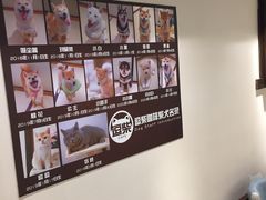 用餐区-逗柴咖啡屋·狗咖猫咖宠物桌游