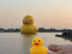 -深圳人才公园