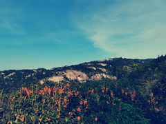 -大罗山风景区