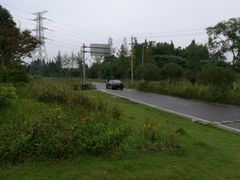 -桤木河湿地公园