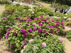 -郑州植物园