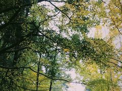 -金堂县云顶石城风景区