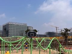 -春花秋色城市公园