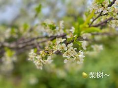-东山风景区(洞庭东山)