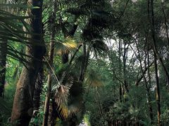 -同里国家湿地公园