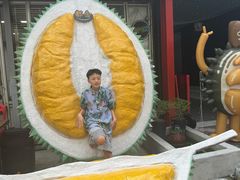 -都念榴莲·城市榴莲