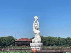 -荷塘月色湿地公园·向阳花洲
