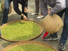 -阿巧茶庄