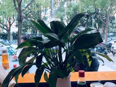 -晋情·游子轩(梅花路店)