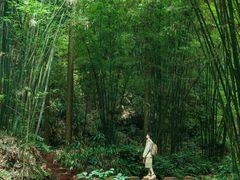 -蜀南竹海景区