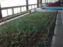 -北京长城阳光山谷马术俱乐部