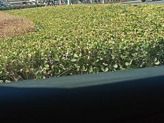 -醉面(五道口启迪大厦店)