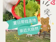 -前小桔亲子创意农场·草莓采摘·露营烧烤