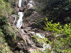 -九龙江国家森林公园