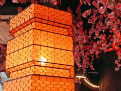 -荷塘秋月·本帮江浙菜(国权路店)