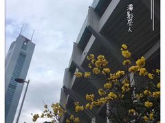 -天河体育中心