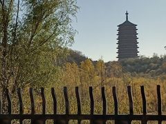 -永定河休闲森林公园