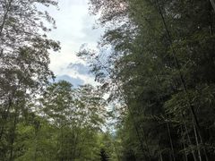 -陶祖圣境风景区