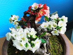 -陶然亭公园