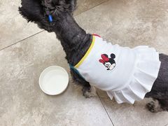 -美联众合动物医院·24h转诊中心