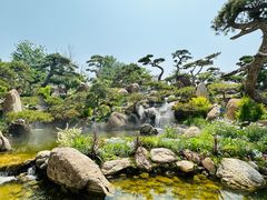 -罗红摄影艺术馆