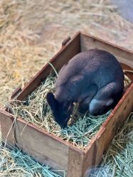 -Zoolung Zoolung动物主题公园(海信广场店)