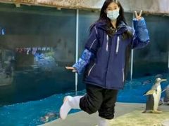 -威海华夏城景区