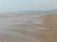 -日照海滨国家森林公园