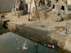 -商丘市人民公园