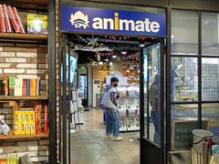 -Animate(工人体育场东路店)