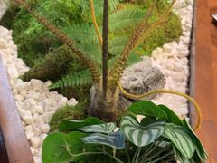 -糖糖屋•糖水•雪花冰店(时尚天河店)