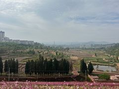 -安宁市宁湖森林公园