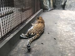 -南昌动物园