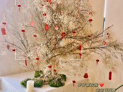 -HUATA 'Holiday Plan 花榻