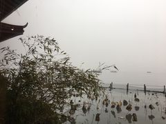 -湖畔居茶楼(湖滨店)