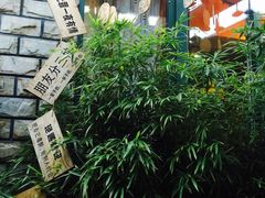 -慢丽江·云南野生菌土鸡锅(付家庄店)