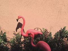 -OOAK设计师品牌概念店(新乐路店)