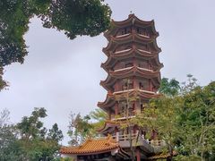 -深圳仙湖植物园