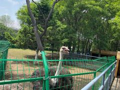 -长白岛森林公园