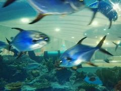 -常州海昌海洋探索馆