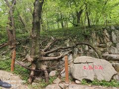 -皇藏峪国家森林公园