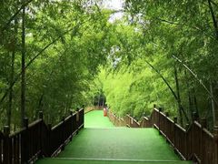 -陶祖圣境风景区