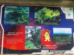 -海口火山口国家地质公园