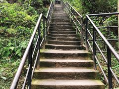 -白公馆