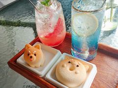 -柴犬高等学院·狗咖·柴犬售卖·宠物训练