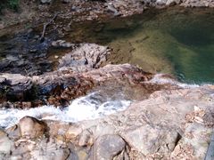 -九龙江国家森林公园