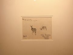 -吴作人艺术馆